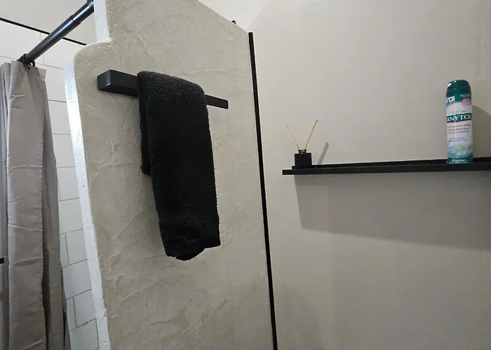 Le Petit Valenciennois Apartment *